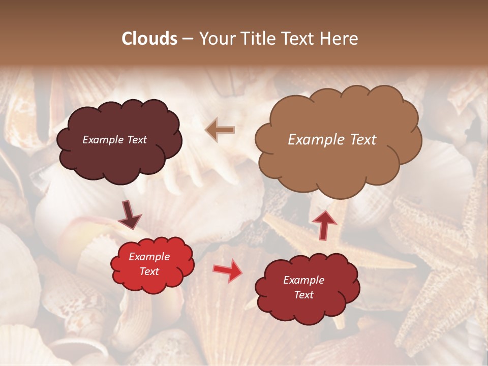 Shells PowerPoint Template