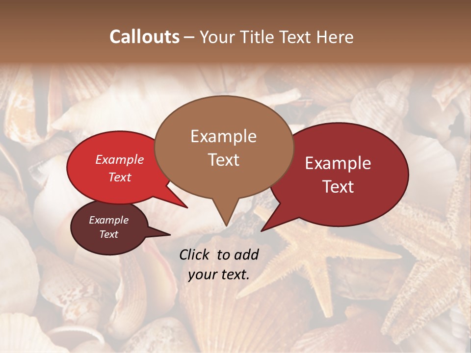 Shells PowerPoint Template