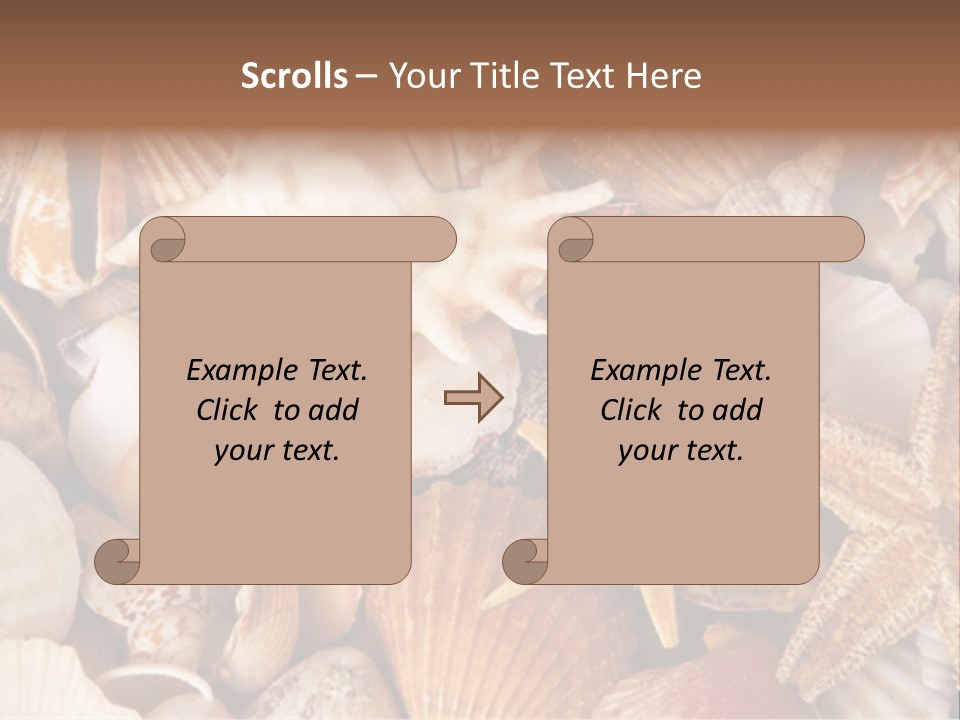 Shells PowerPoint Template