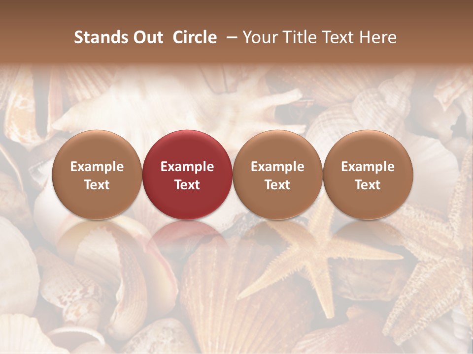 Shells PowerPoint Template