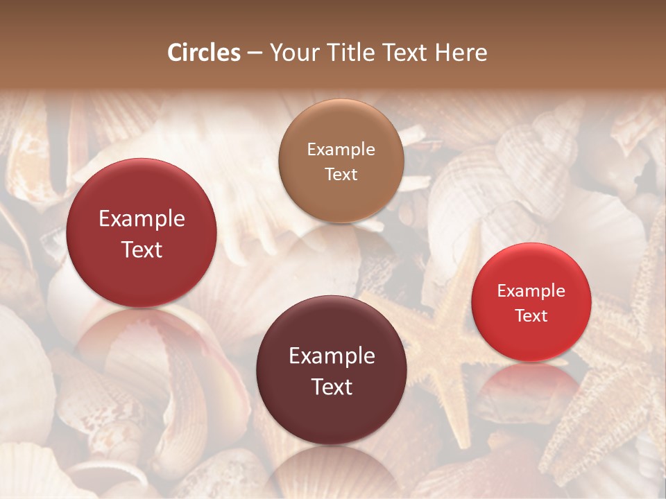 Shells PowerPoint Template