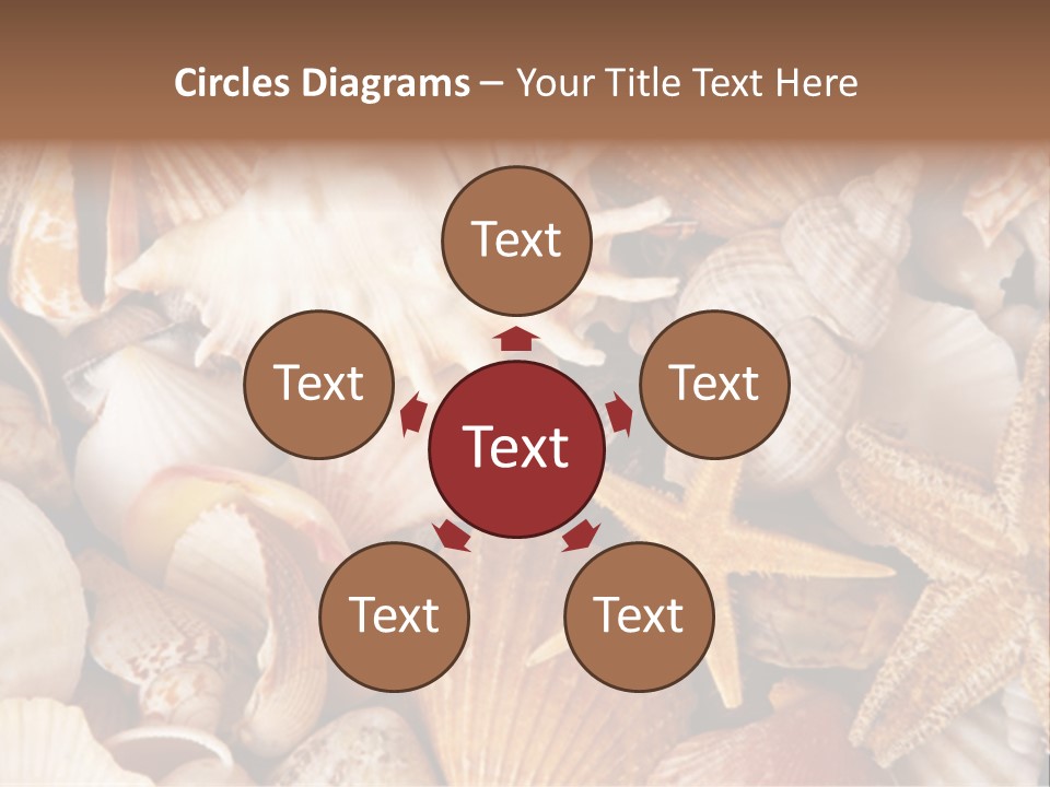 Shells PowerPoint Template