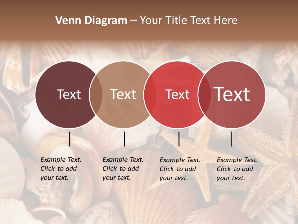 Shells PowerPoint Template