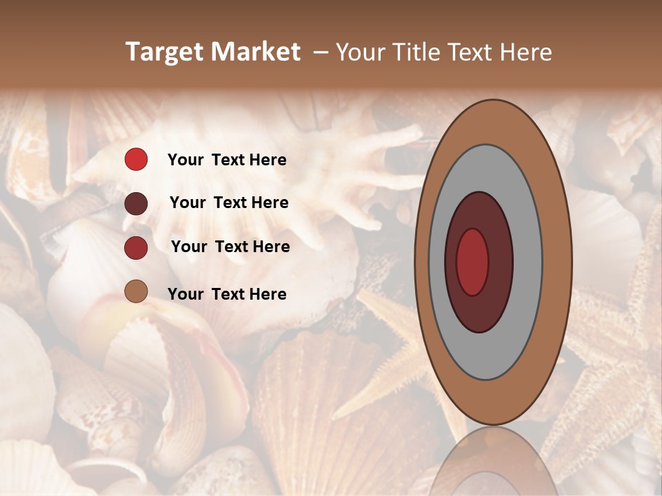 Shells PowerPoint Template