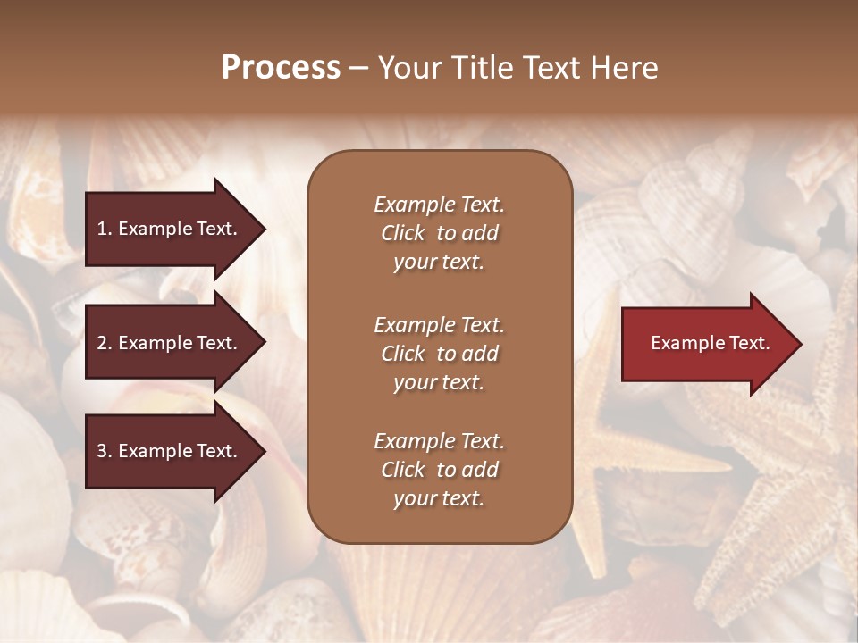 Shells PowerPoint Template