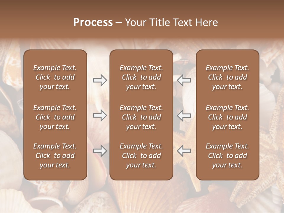 Shells PowerPoint Template