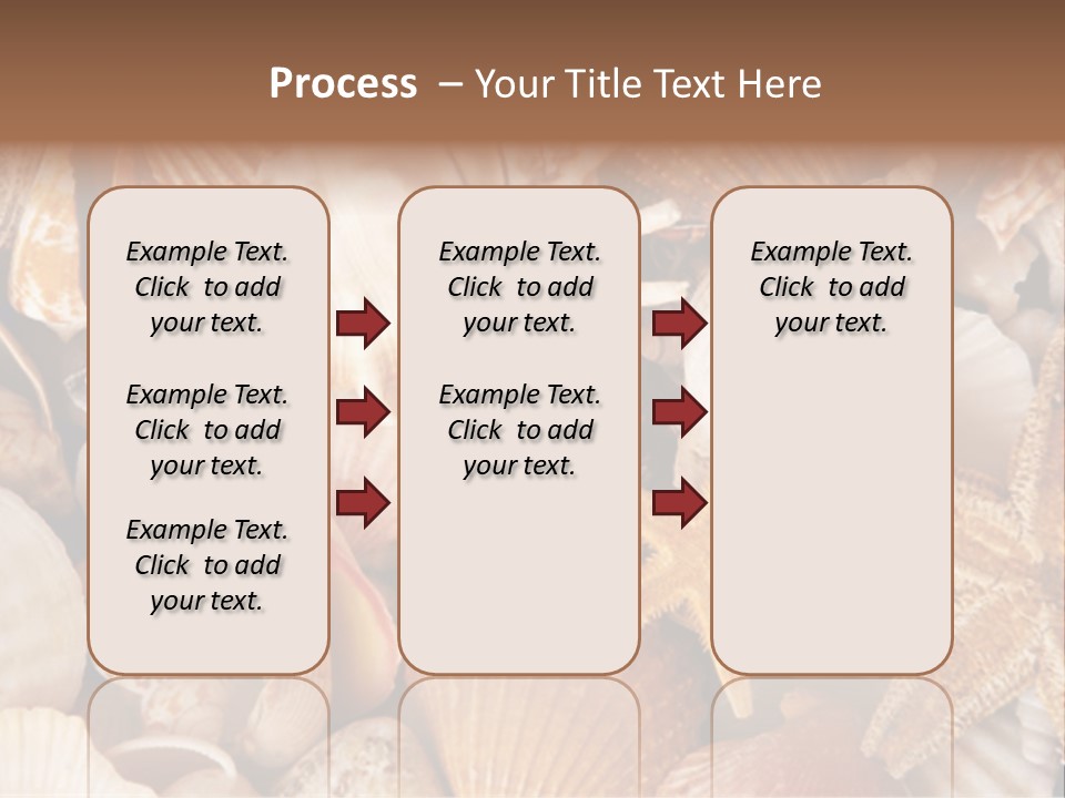 Shells PowerPoint Template
