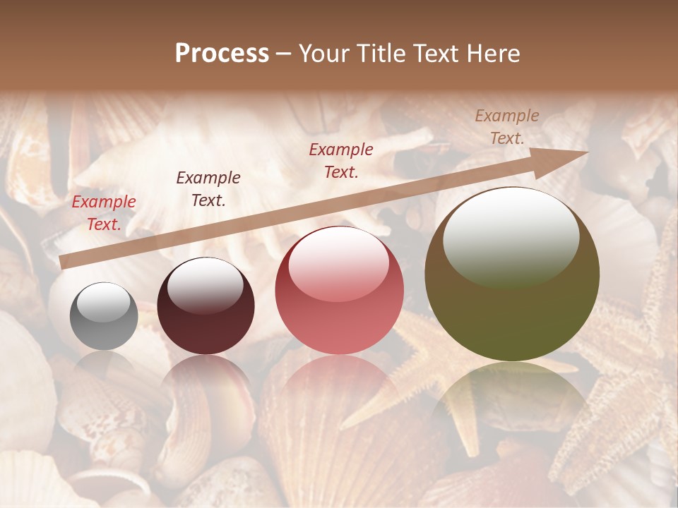 Shells PowerPoint Template