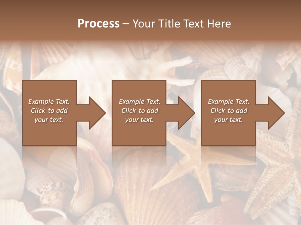 Shells PowerPoint Template