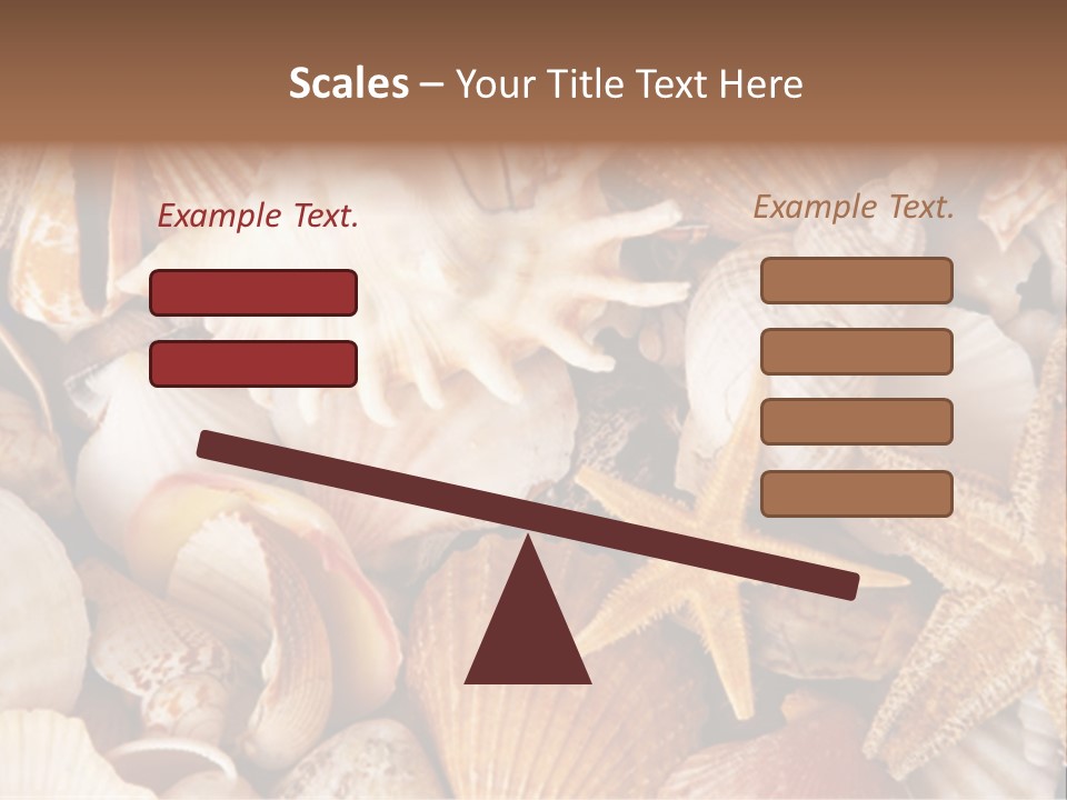 Shells PowerPoint Template