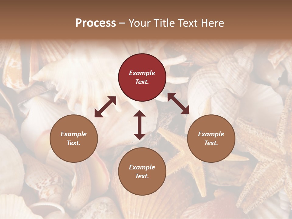 Shells PowerPoint Template