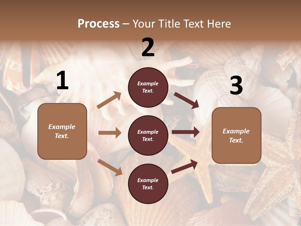 Shells PowerPoint Template