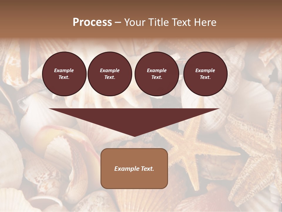 Shells PowerPoint Template