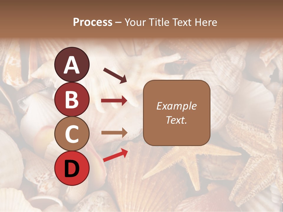 Shells PowerPoint Template