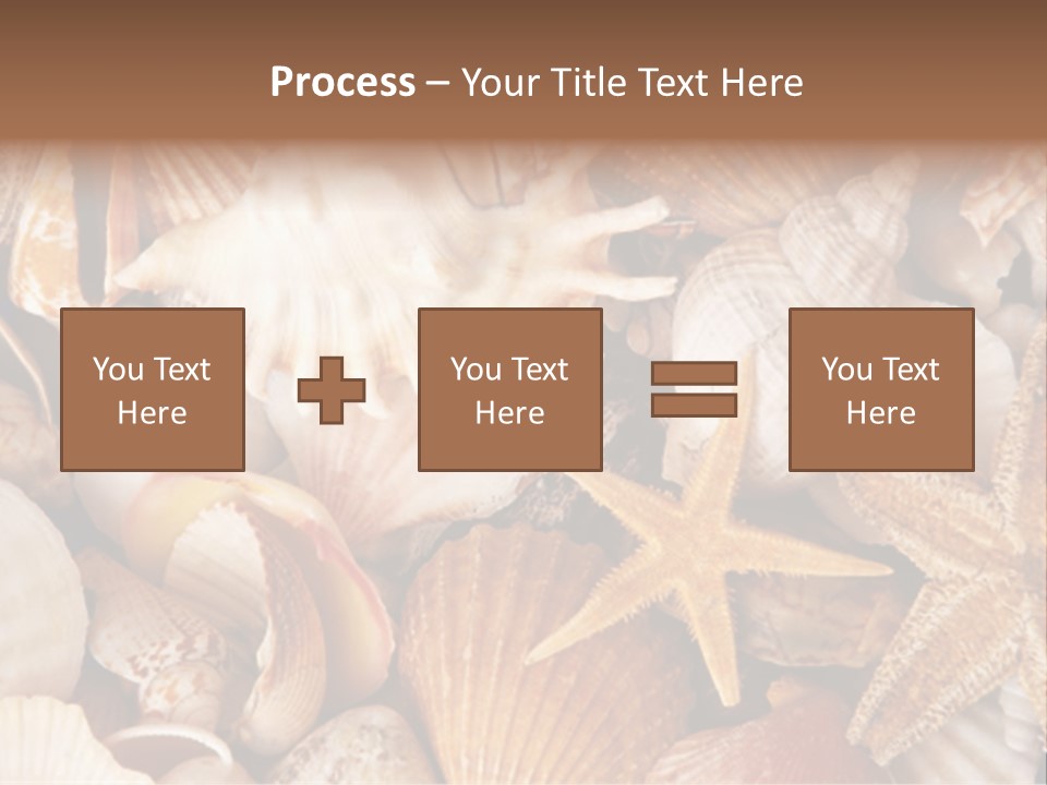 Shells PowerPoint Template