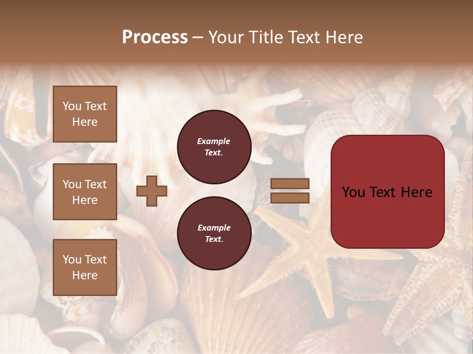 Shells PowerPoint Template