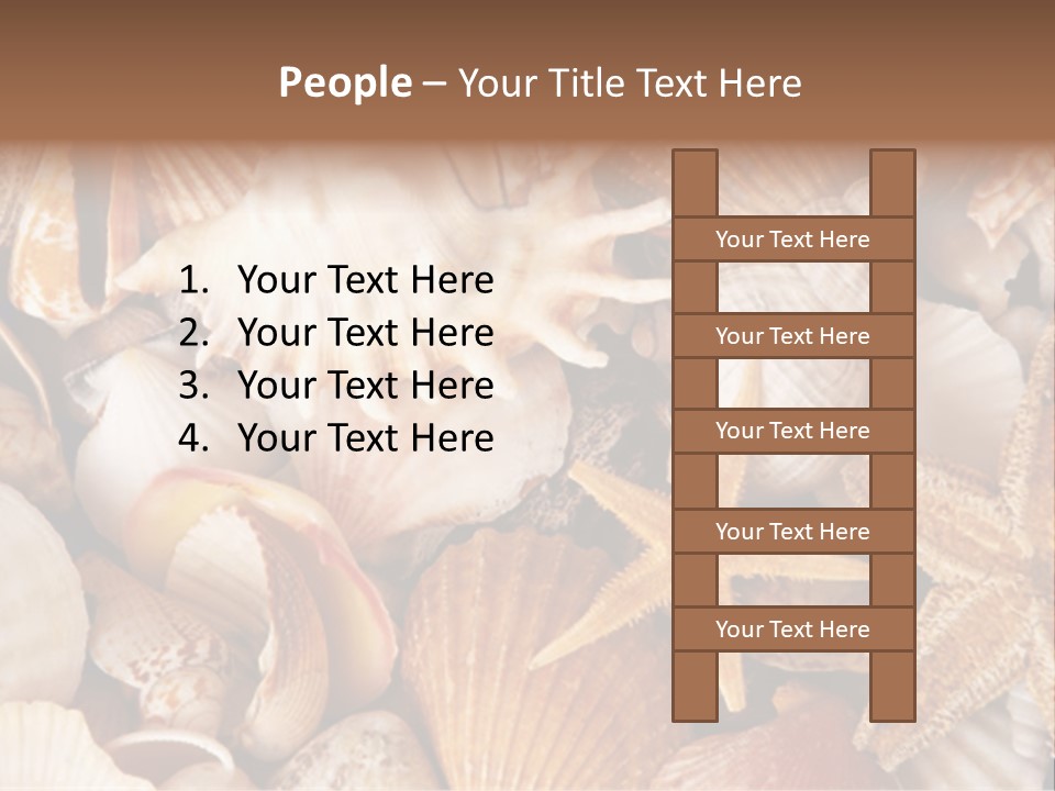 Shells PowerPoint Template