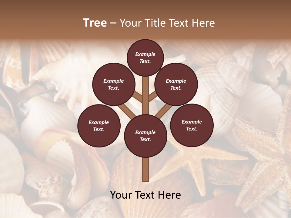 Shells PowerPoint Template