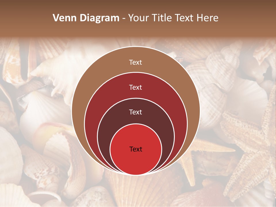 Shells PowerPoint Template