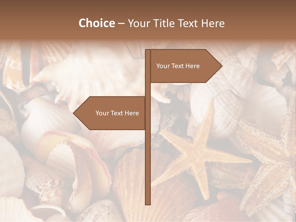 Shells PowerPoint Template