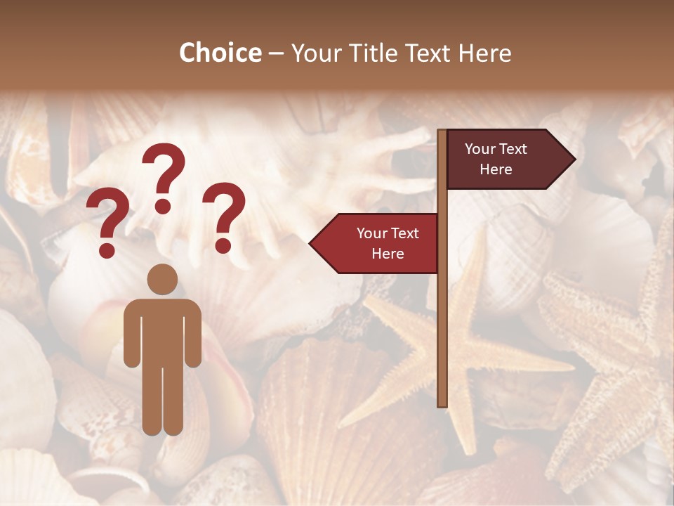 Shells PowerPoint Template