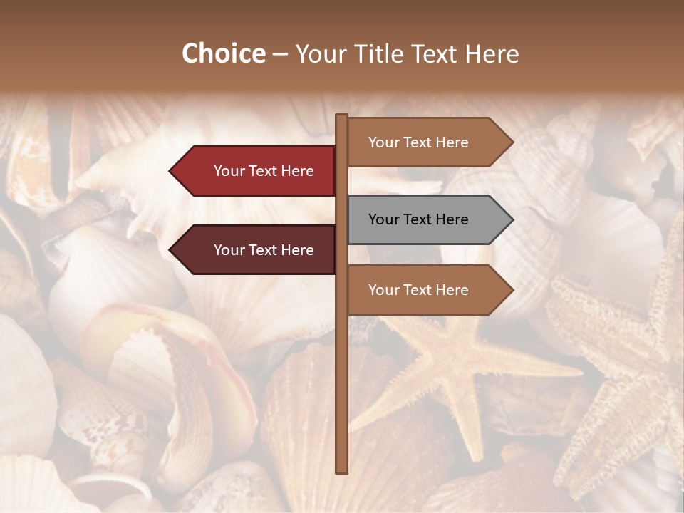 Shells PowerPoint Template