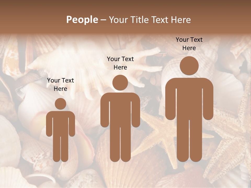 Shells PowerPoint Template