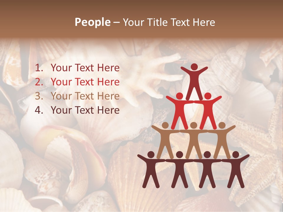 Shells PowerPoint Template