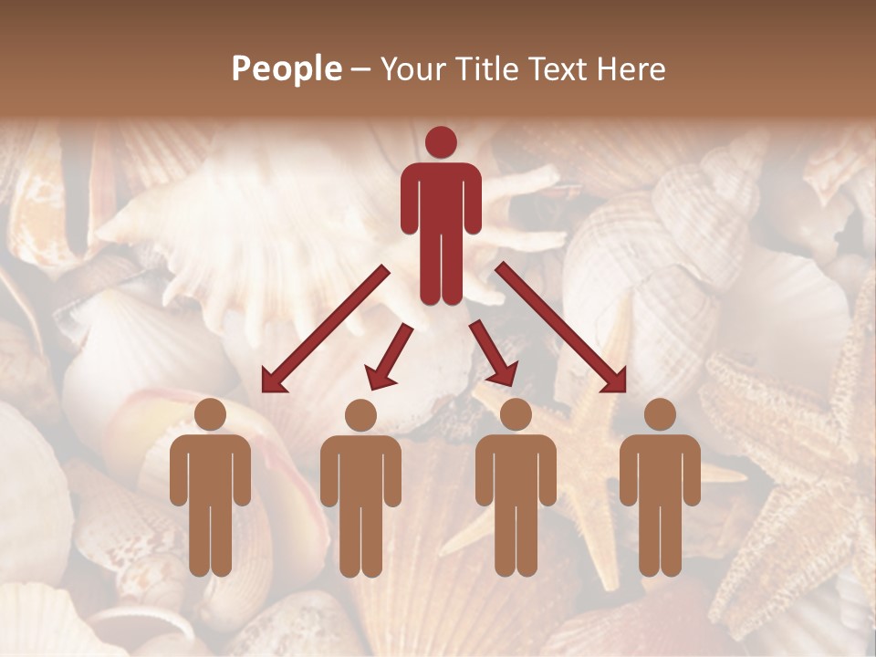 Shells PowerPoint Template