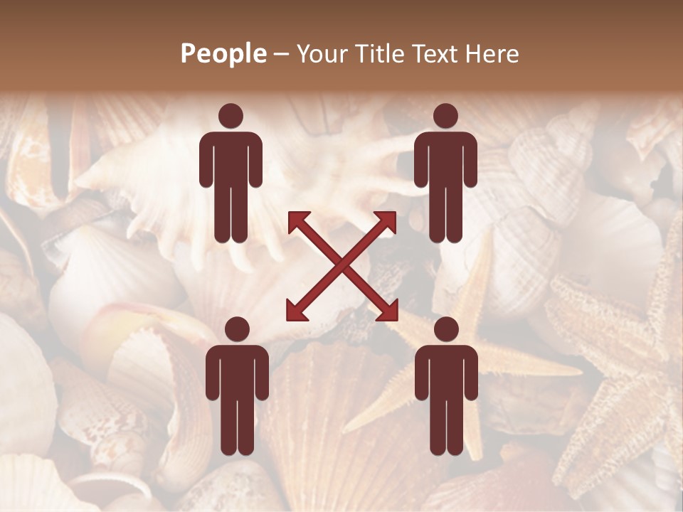 Shells PowerPoint Template