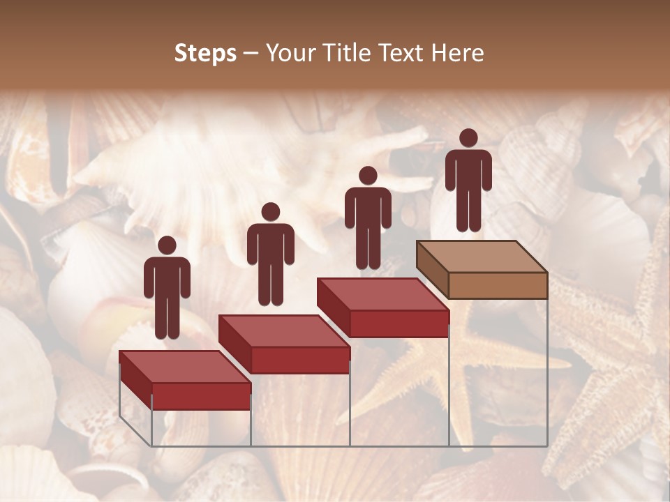 Shells PowerPoint Template