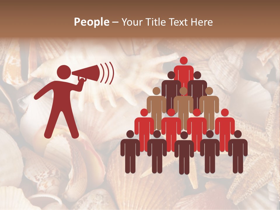 Shells PowerPoint Template