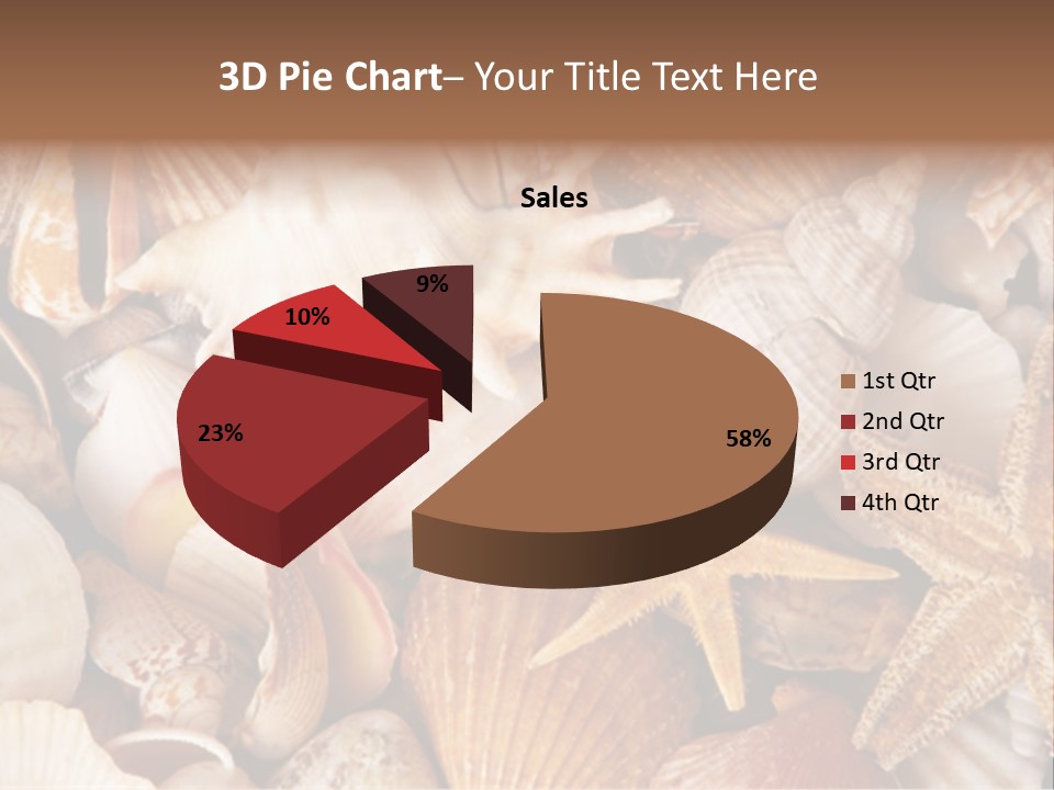 Shells PowerPoint Template