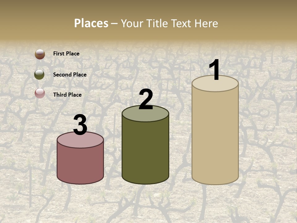 A Large Field Of Trees With No Leaves PowerPoint Template