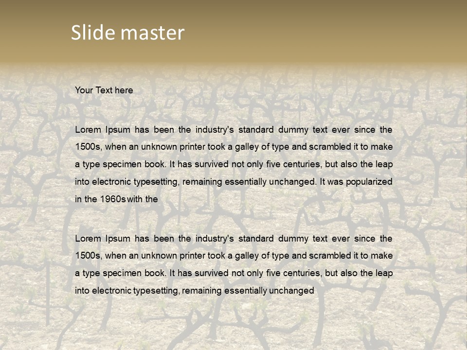 A Large Field Of Trees With No Leaves PowerPoint Template