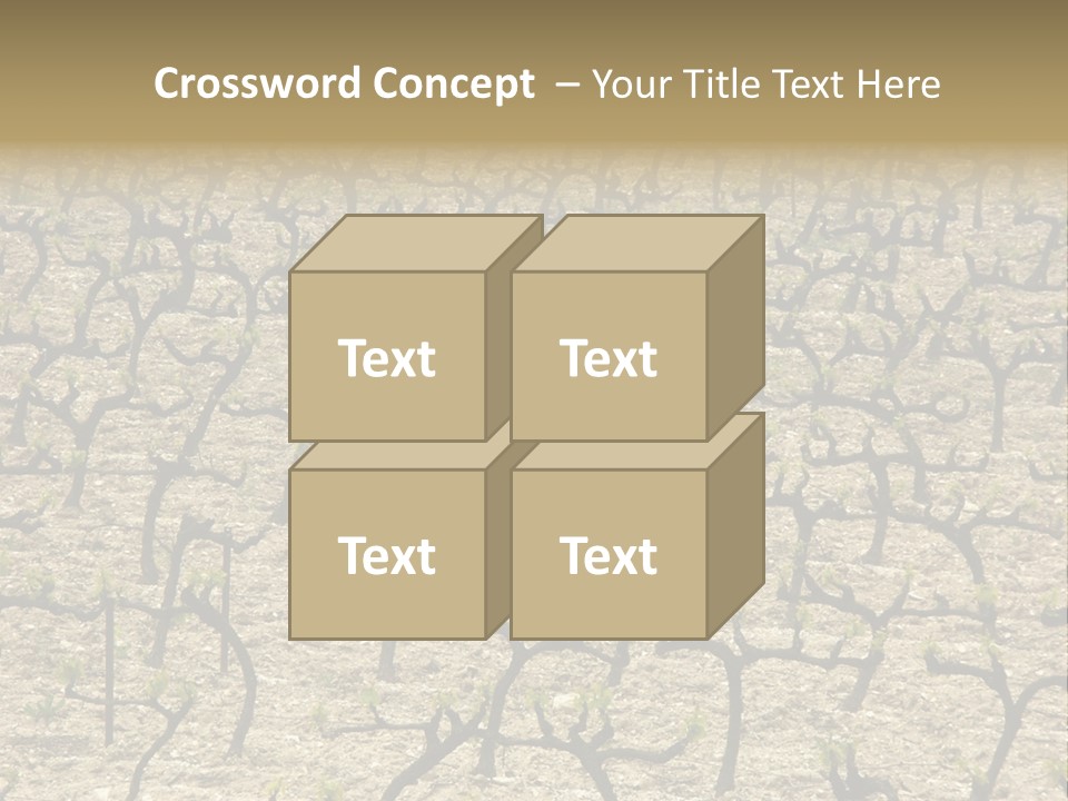 A Large Field Of Trees With No Leaves PowerPoint Template