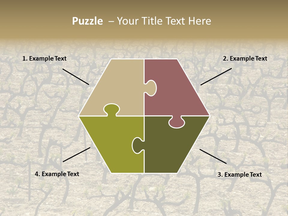 A Large Field Of Trees With No Leaves PowerPoint Template