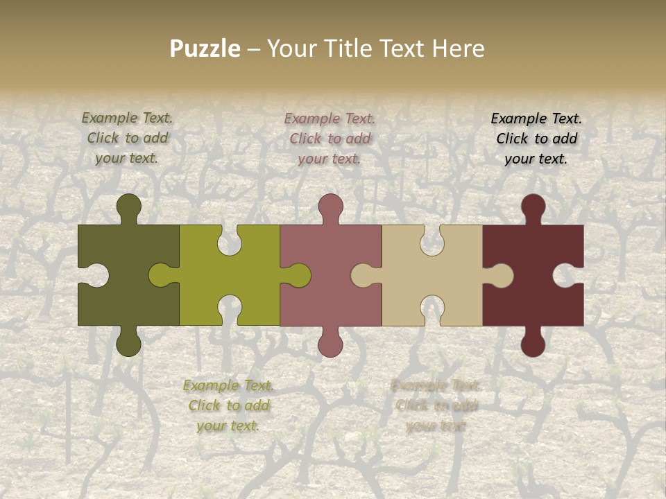 A Large Field Of Trees With No Leaves PowerPoint Template