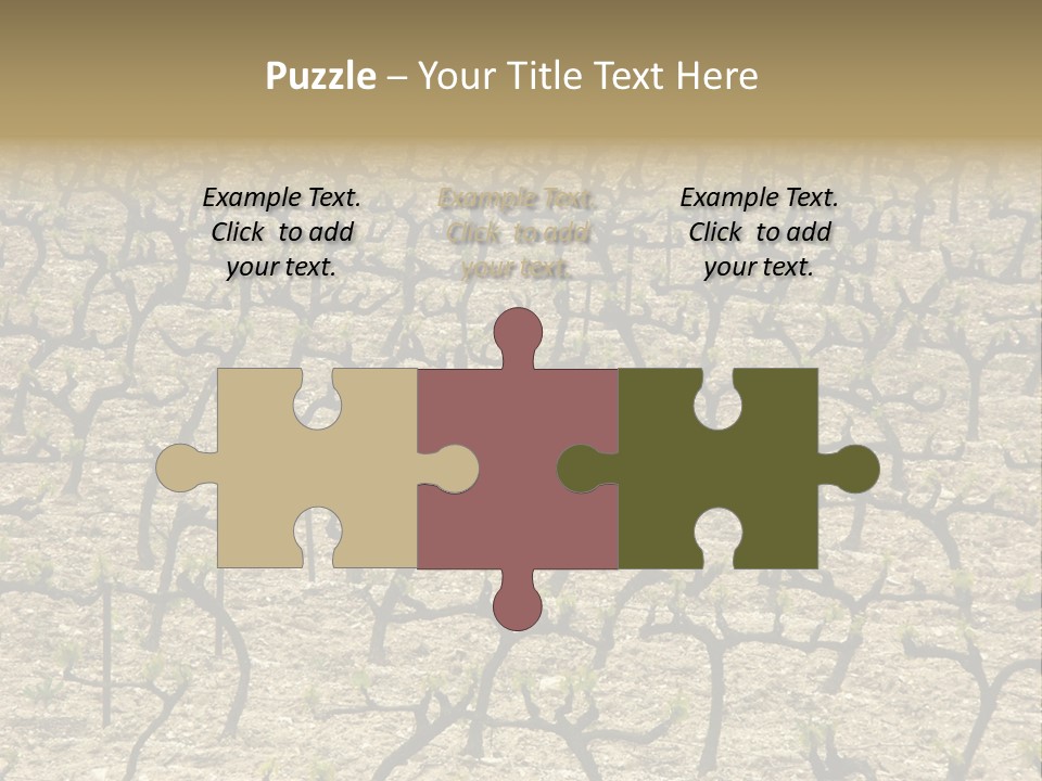 A Large Field Of Trees With No Leaves PowerPoint Template