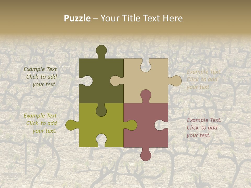 A Large Field Of Trees With No Leaves PowerPoint Template