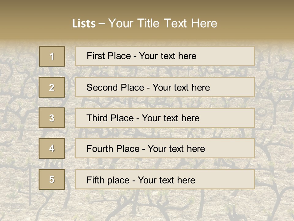 A Large Field Of Trees With No Leaves PowerPoint Template