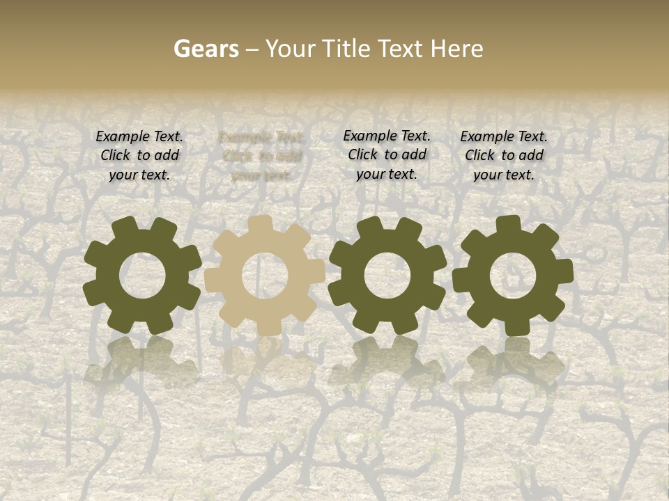 A Large Field Of Trees With No Leaves PowerPoint Template