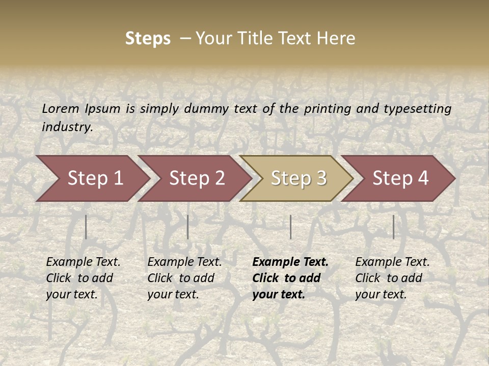 A Large Field Of Trees With No Leaves PowerPoint Template