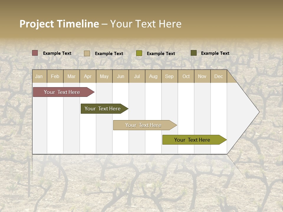 A Large Field Of Trees With No Leaves PowerPoint Template