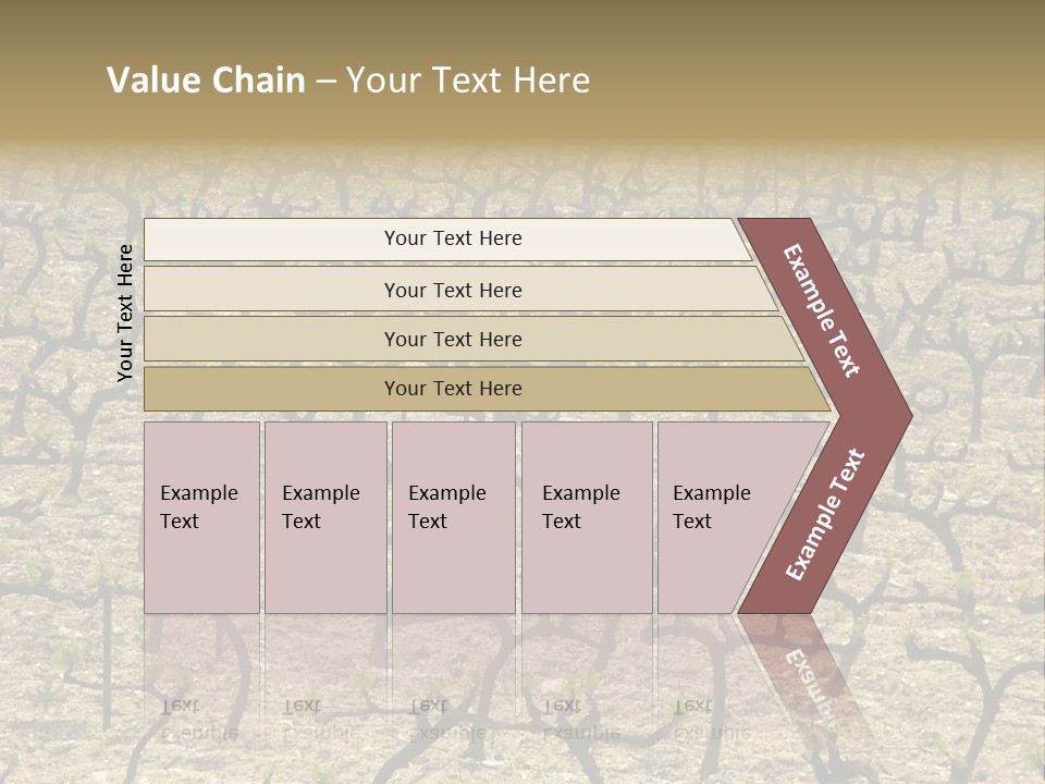 A Large Field Of Trees With No Leaves PowerPoint Template