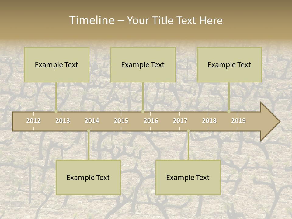 A Large Field Of Trees With No Leaves PowerPoint Template