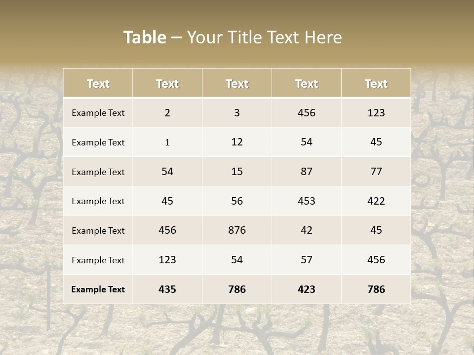 A Large Field Of Trees With No Leaves PowerPoint Template