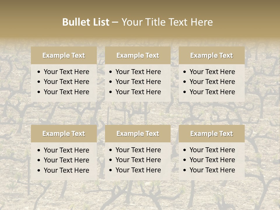 A Large Field Of Trees With No Leaves PowerPoint Template
