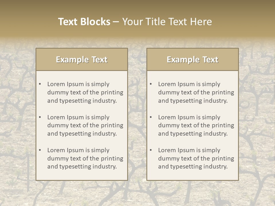 A Large Field Of Trees With No Leaves PowerPoint Template