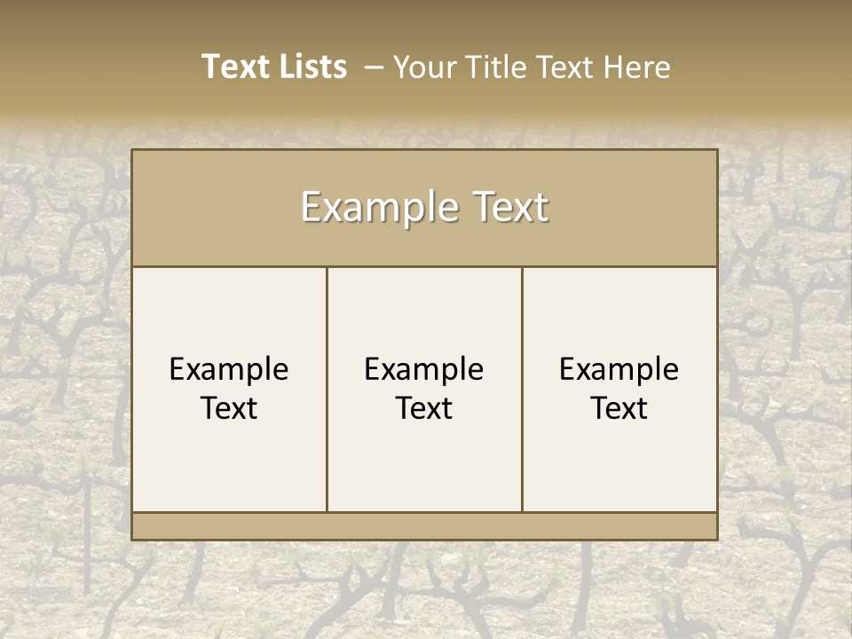 A Large Field Of Trees With No Leaves PowerPoint Template